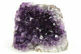 Free-Standing, Amethyst Crystal Cluster - Uruguay #275798-1